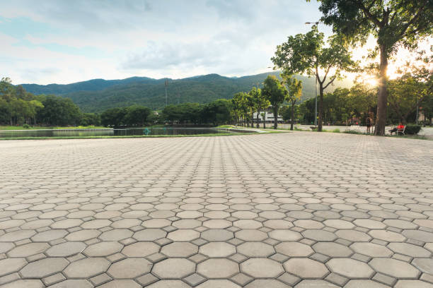 Best Driveway Paving Contractor  in Walkerton, IN